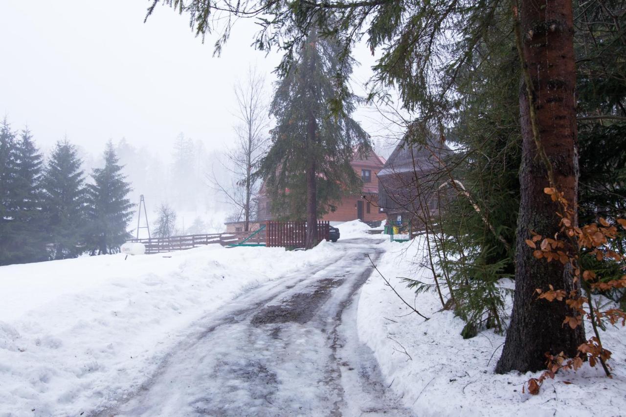 Gosciniec Tokarzonka Villa Istebna Exterior photo